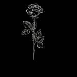 Loretta Jackson