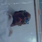 Muad Abdi