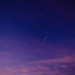 blossom_123