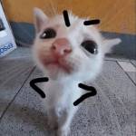 Seasealqke