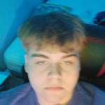 Brodie Wendlandt
