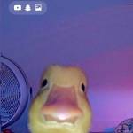 Micheal080709