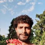 Robin Dev
