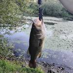 caelan truchon