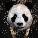 PandaR
